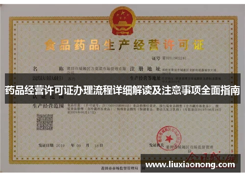 药品经营许可证办理流程详细解读及注意事项全面指南