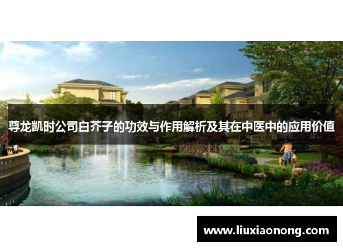 尊龙凯时公司白芥子的功效与作用解析及其在中医中的应用价值