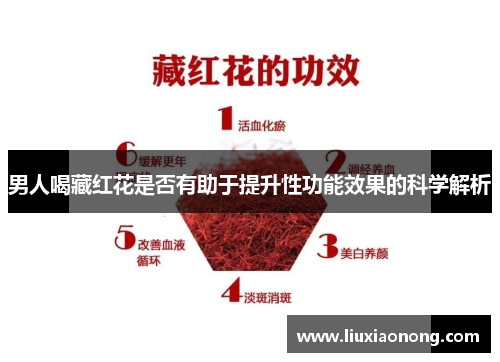 男人喝藏红花是否有助于提升性功能效果的科学解析