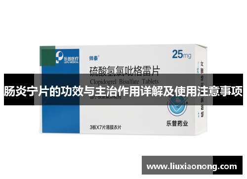 肠炎宁片的功效与主治作用详解及使用注意事项