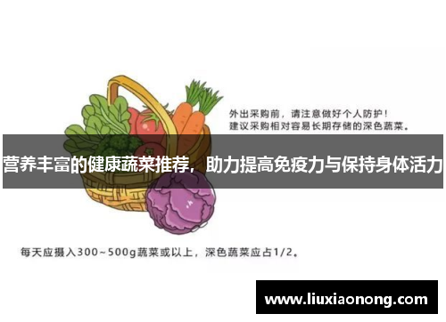 营养丰富的健康蔬菜推荐，助力提高免疫力与保持身体活力