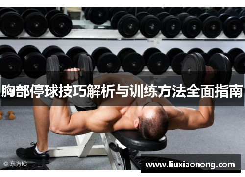 胸部停球技巧解析与训练方法全面指南